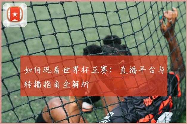 如何观看世界杯正赛：直播平台与转播指南全解析