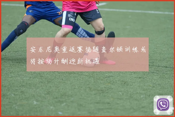 安东尼奥重返赛场随查尔顿训练或将按场计酬迎新机遇