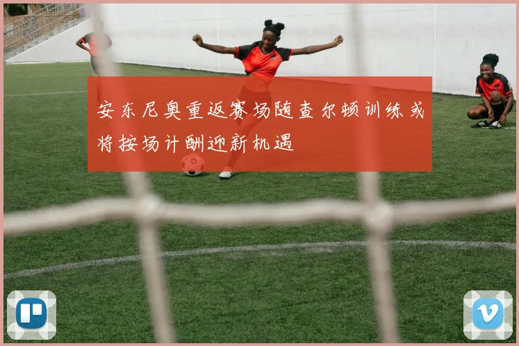 安东尼奥重返赛场随查尔顿训练或将按场计酬迎新机遇