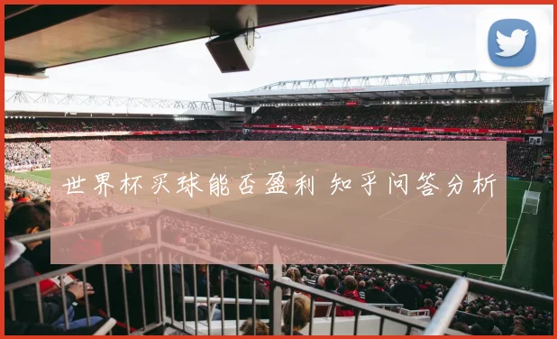 世界杯买球能否盈利 知乎问答分析