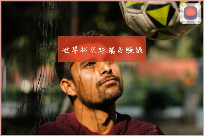 世界杯买球能否赚钱