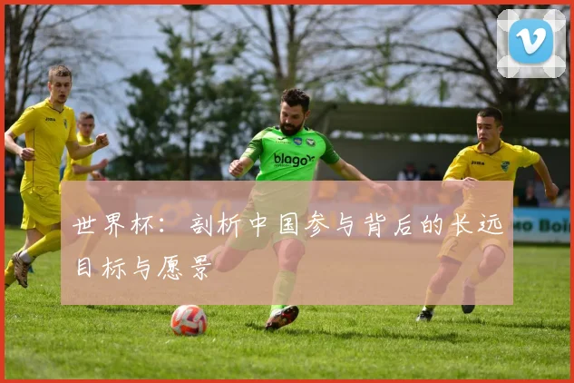 世界杯：剖析中国参与背后的长远目标与愿景