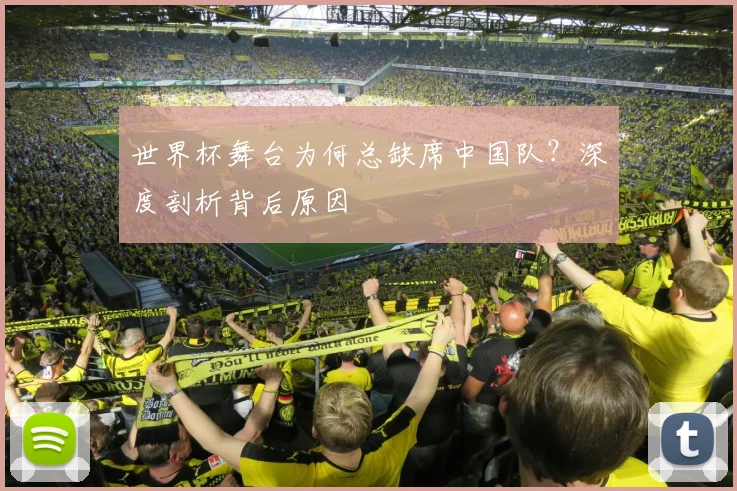 世界杯舞台为何总缺席中国队？深度剖析背后原因