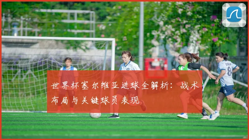 世界杯塞尔维亚进球全解析：战术布局与关键球员表现