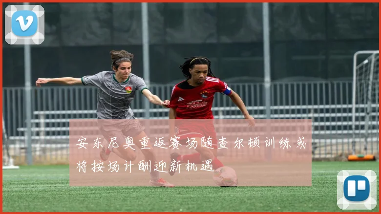 安东尼奥重返赛场随查尔顿训练或将按场计酬迎新机遇