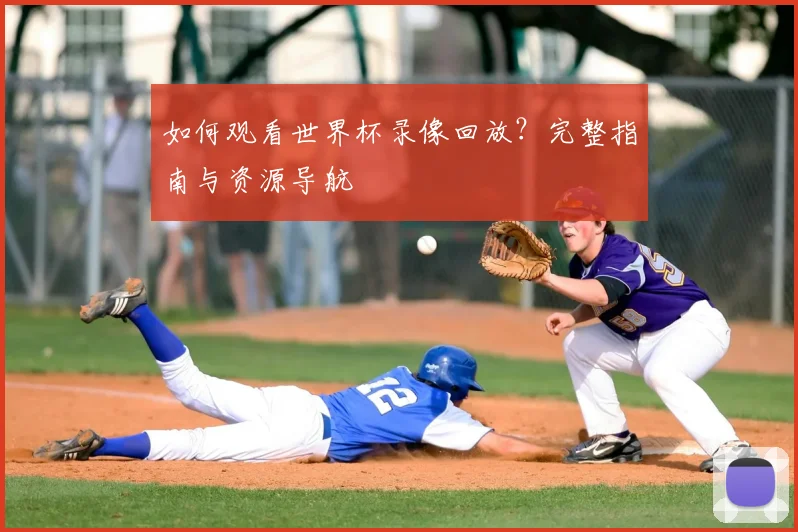 如何观看世界杯录像回放?完整指南与资源导航