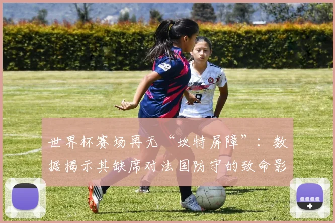 世界杯赛场再无“坎特屏障”:数据揭示其缺席对法国防守的致命影响