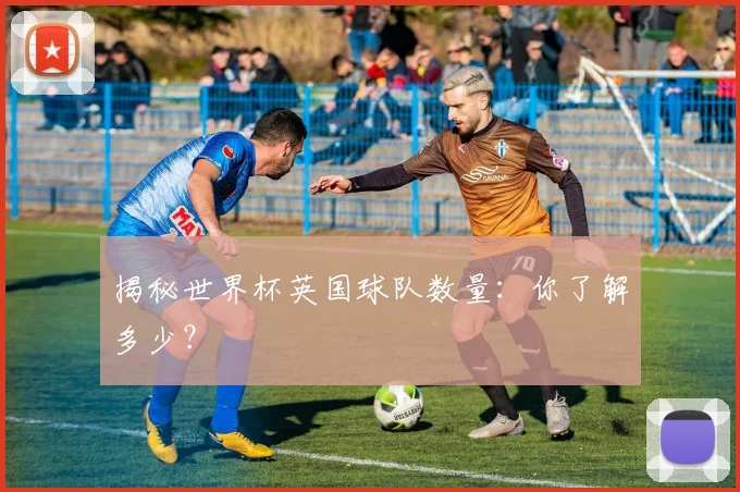 揭秘世界杯英国球队数量：你了解多少？