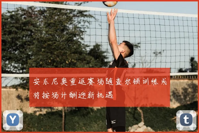 安东尼奥重返赛场随查尔顿训练或将按场计酬迎新机遇
