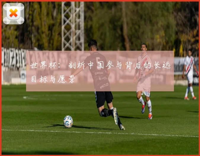 世界杯：剖析中国参与背后的长远目标与愿景