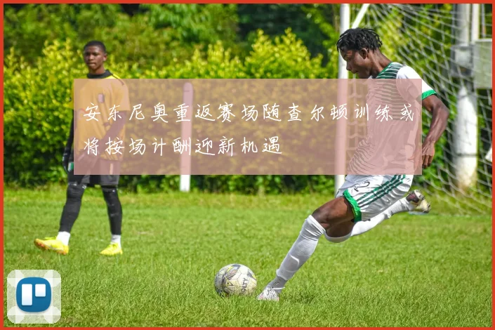 安东尼奥重返赛场随查尔顿训练或将按场计酬迎新机遇