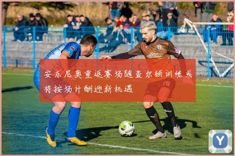 安东尼奥重返赛场随查尔顿训练或将按场计酬迎新机遇